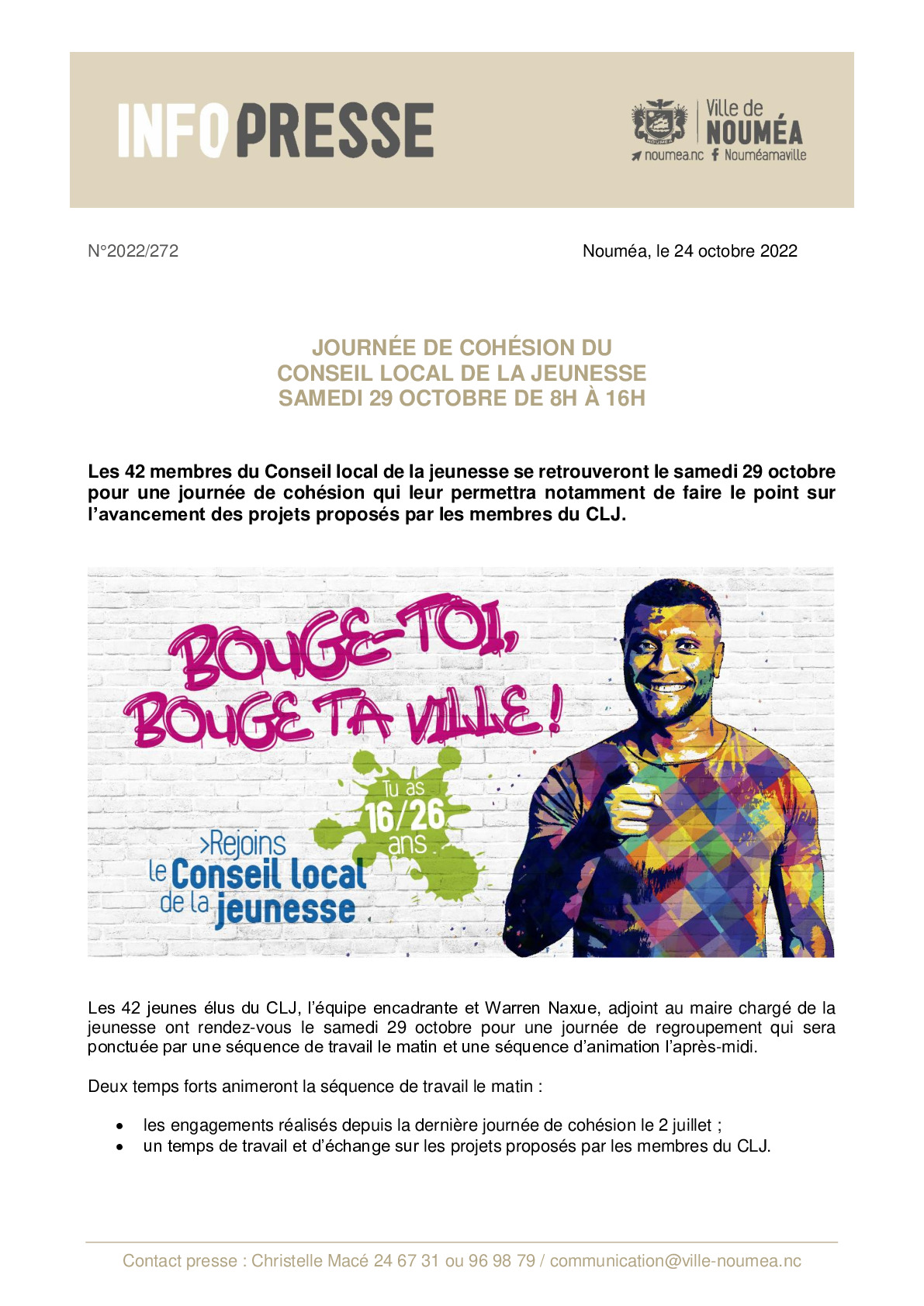 IP 272 Journee de cohesion Conseil local de la jeunesse.pdf