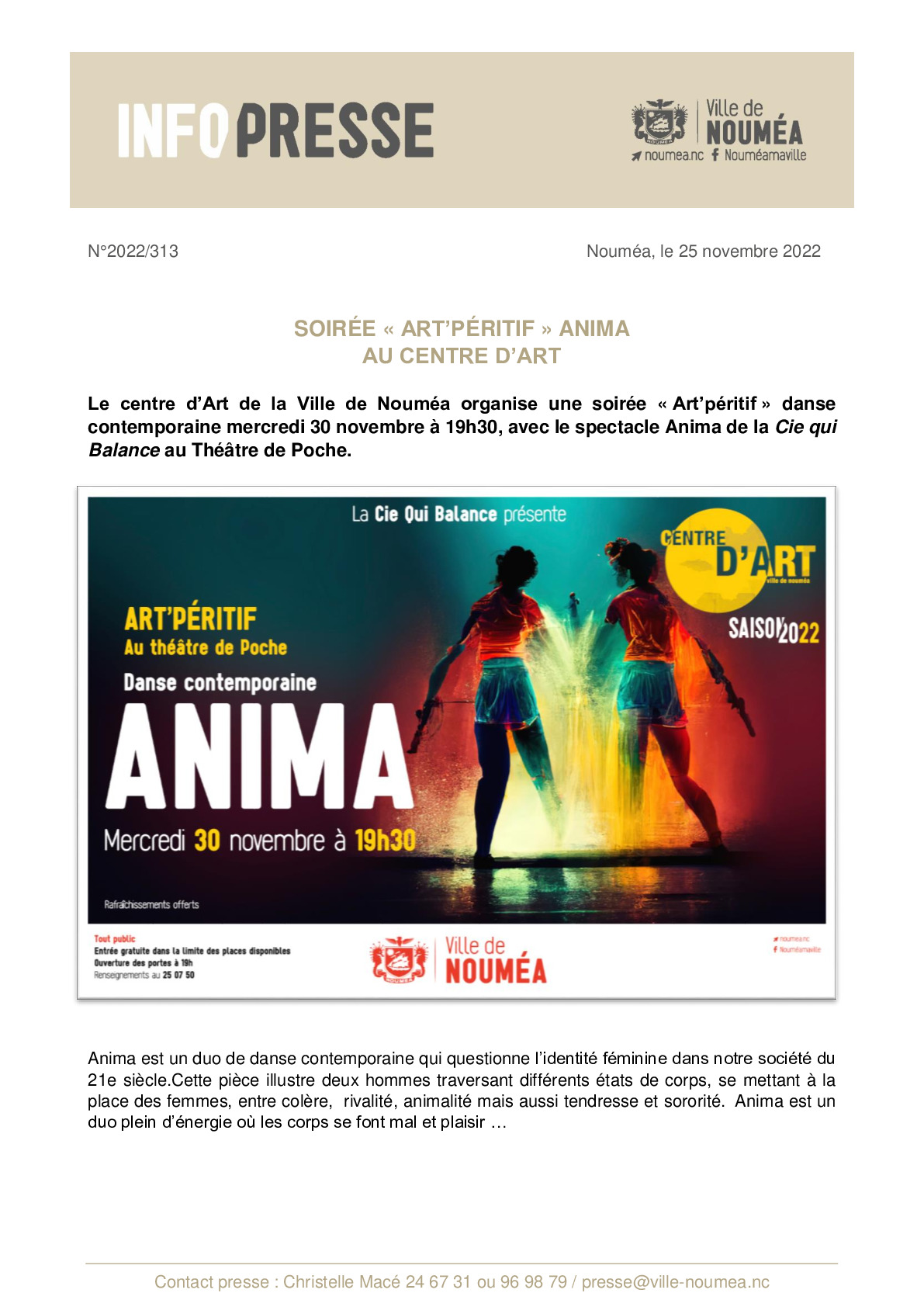 IP 313 Art'Pé Anima.pdf