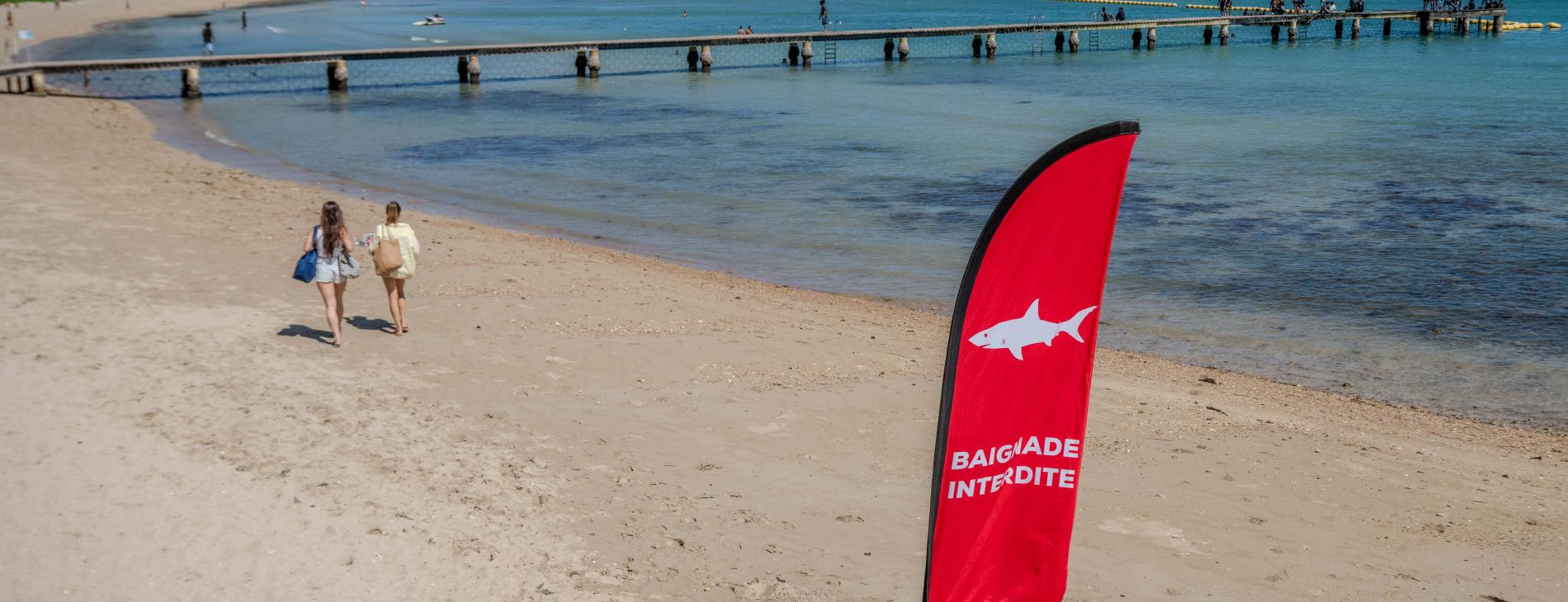 20260416_Risque requin_Oriflamme_ Plage Nouméa Sud-7