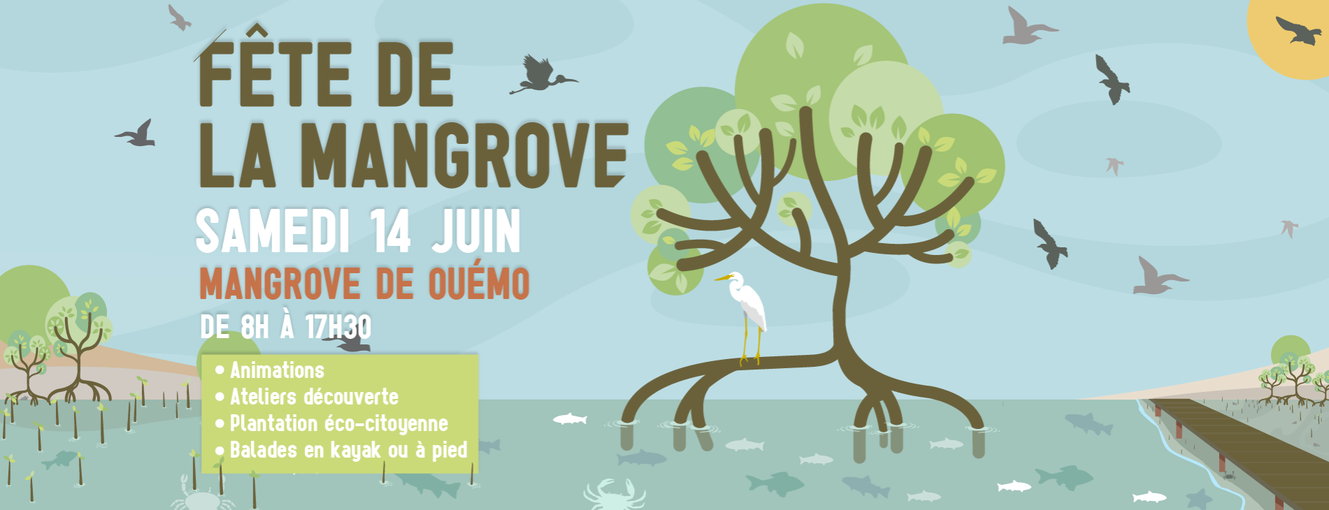 Fete de la mangrove - 1900x730-Site.png Fete de la mangrove - 1900x730-Site.png