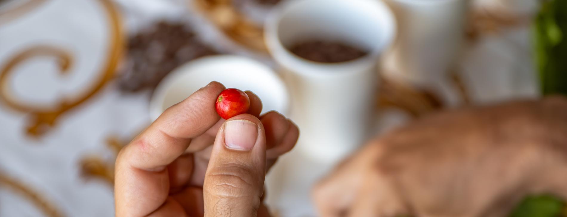 café et cacao