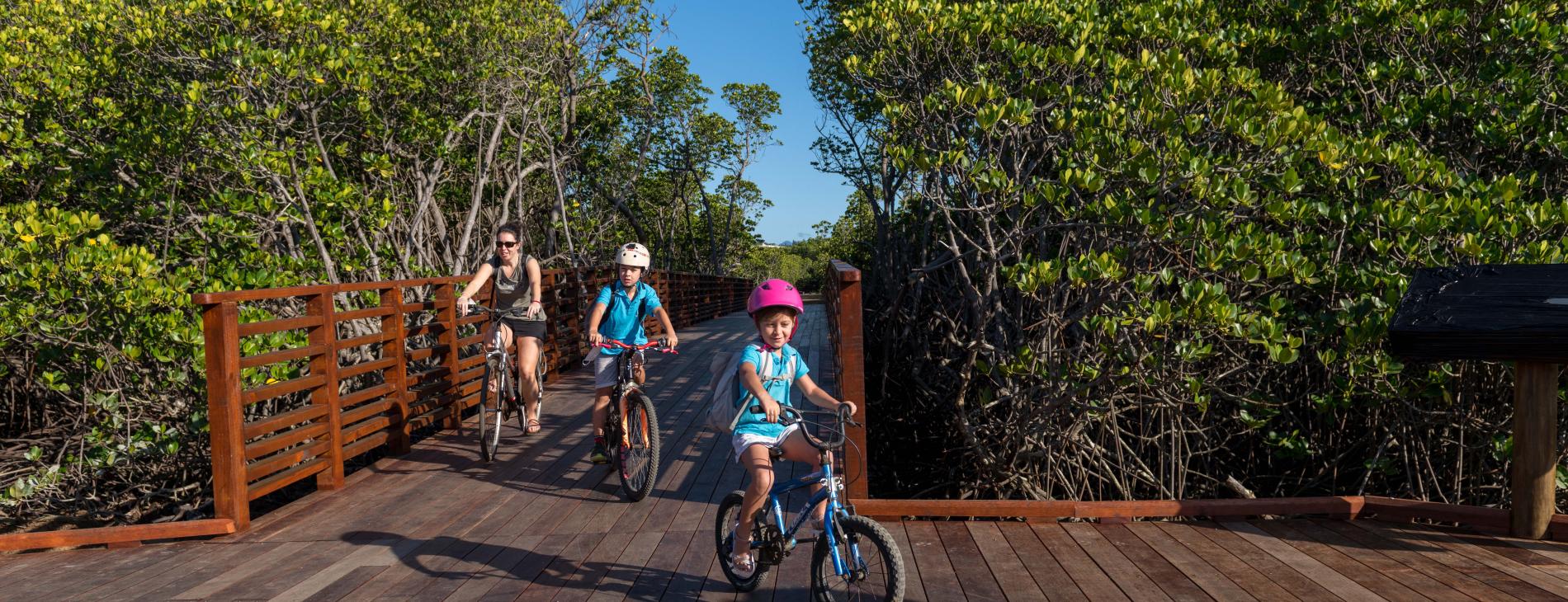 Passerelle Mangrove Ouémo 7