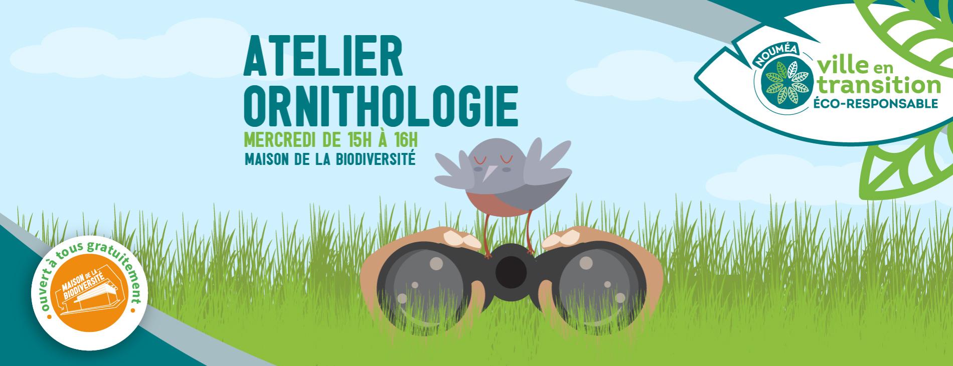 Atelier ornithologique