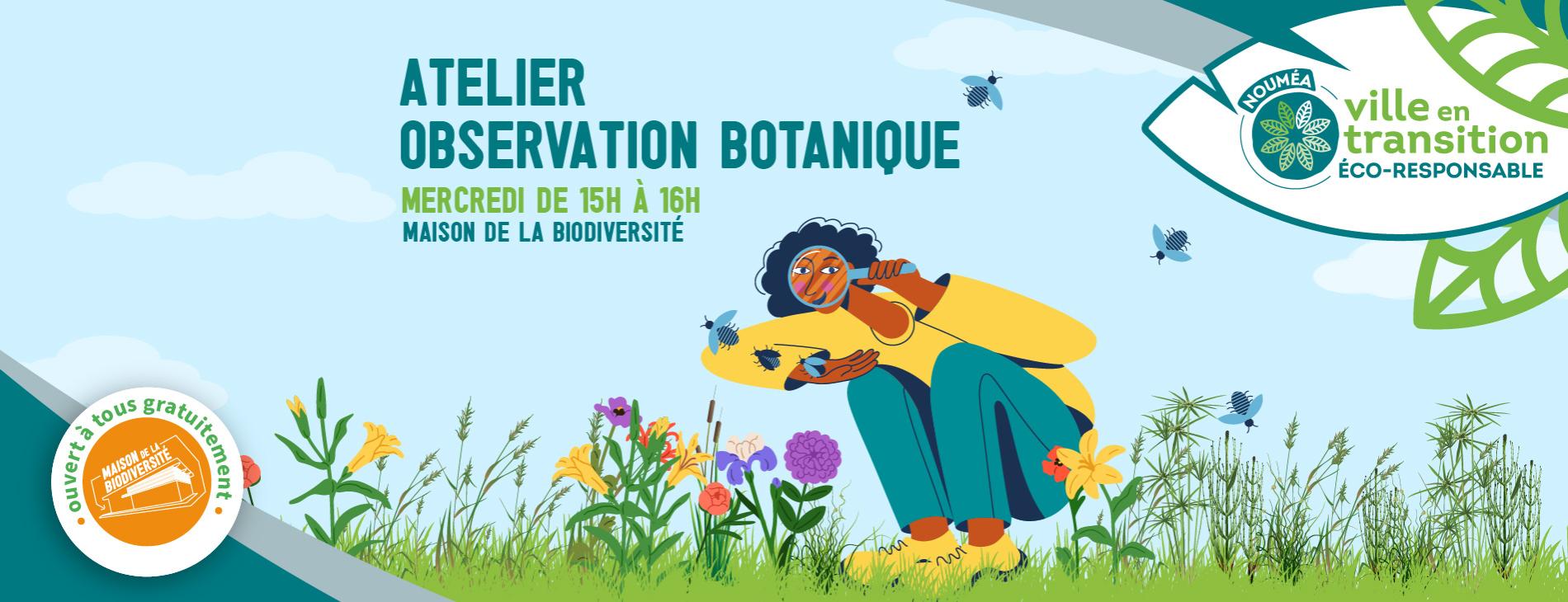 Atelier d'observation botanique