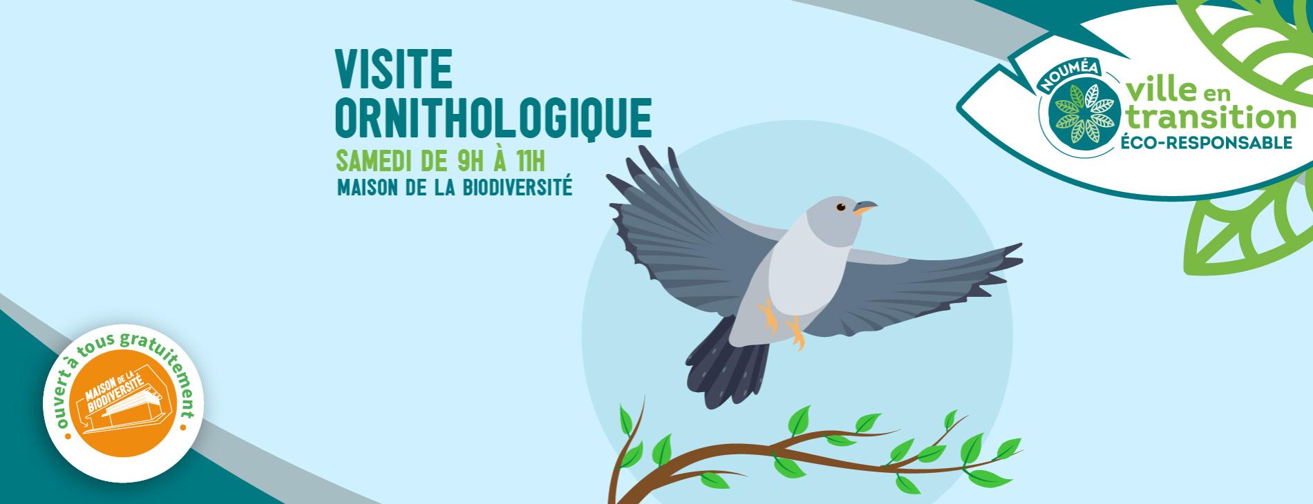 Visite ornithologique guidée Visite ornithologique guidée