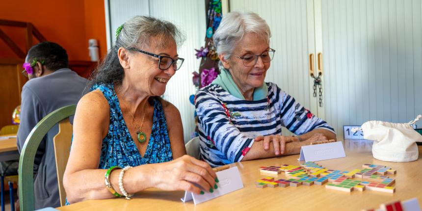 20250722_Ateliers CCAS_jeux_Cerisiers Bleus-8 20250722_Ateliers CCAS_jeux_Cerisiers Bleus-8