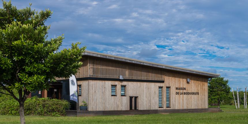 20230509_Maison Biodiversité_Ambiances_Tressage_VR_Façade-27