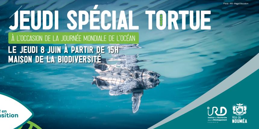 1900x730-Jeudi spécial-Tortues-Site.jpg