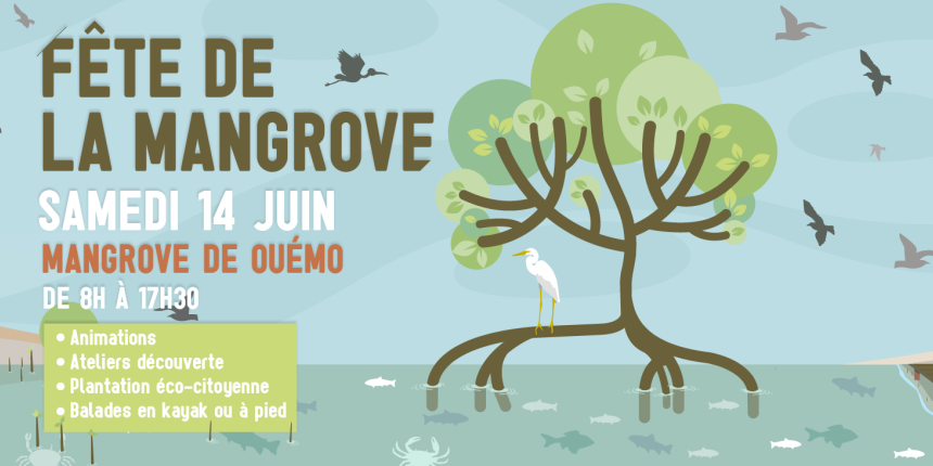 Fete de la mangrove - 1900x730-Site.png Fete de la mangrove - 1900x730-Site.png