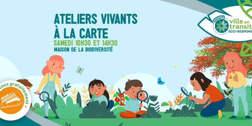 Improvacances1640x720-80 Improvacances1640x720-80