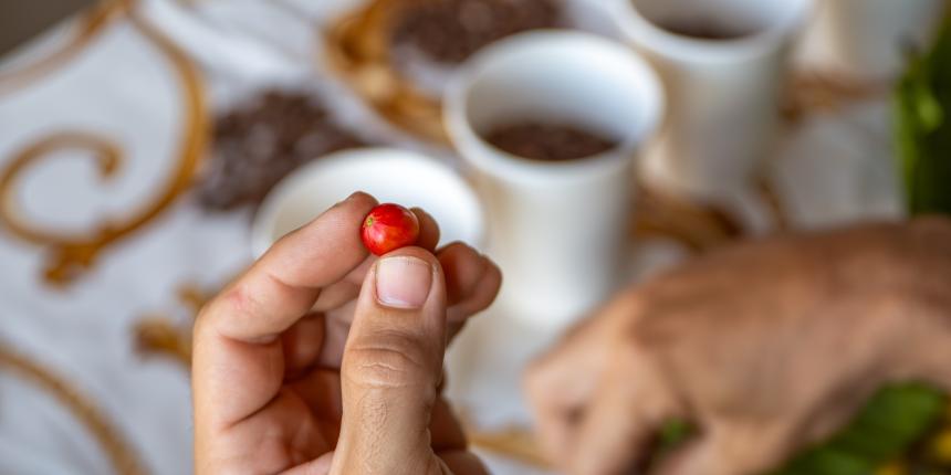 café et cacao
