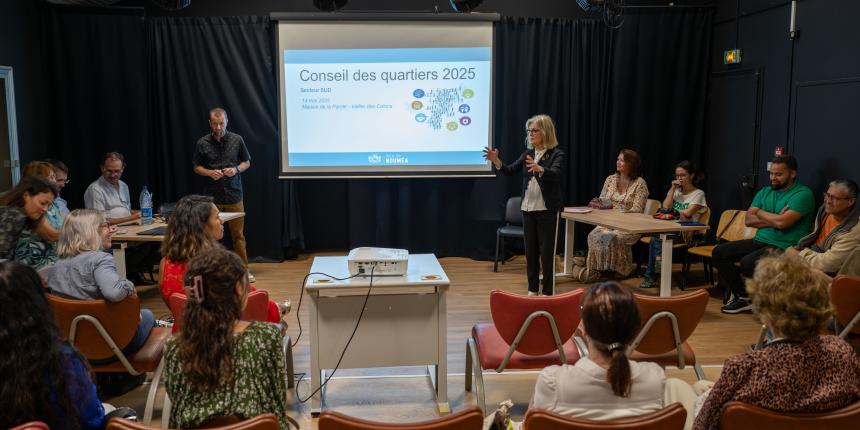 Les conseils des quartiers