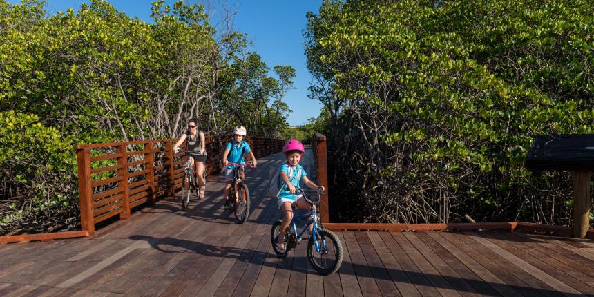 Passerelle Mangrove Ouémo 7