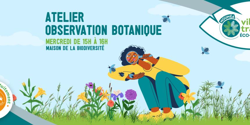 Atelier d'observation botanique Atelier d'observation botanique