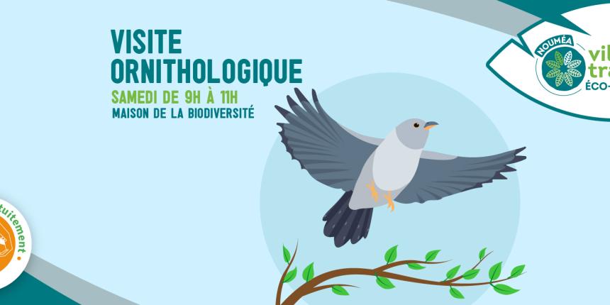 Visite ornithologique guidée