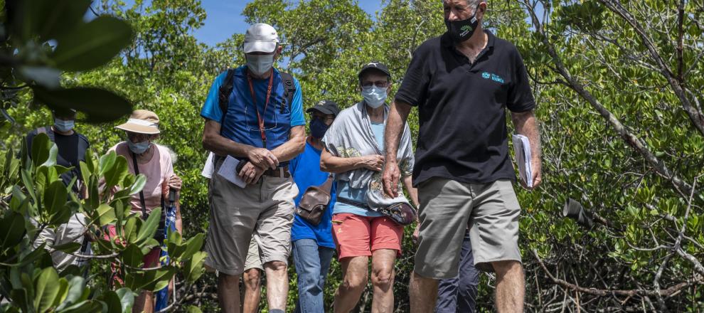 Maison_Biodiversité_Visite_Mangrove_Bernard_Suprin-18