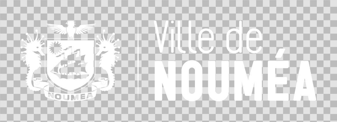 VDN-LOGO-Blanc-horizontal.png