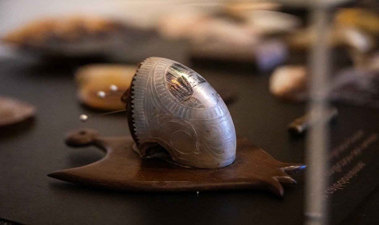 Expo Graveurs sur nacre_vitrines-4