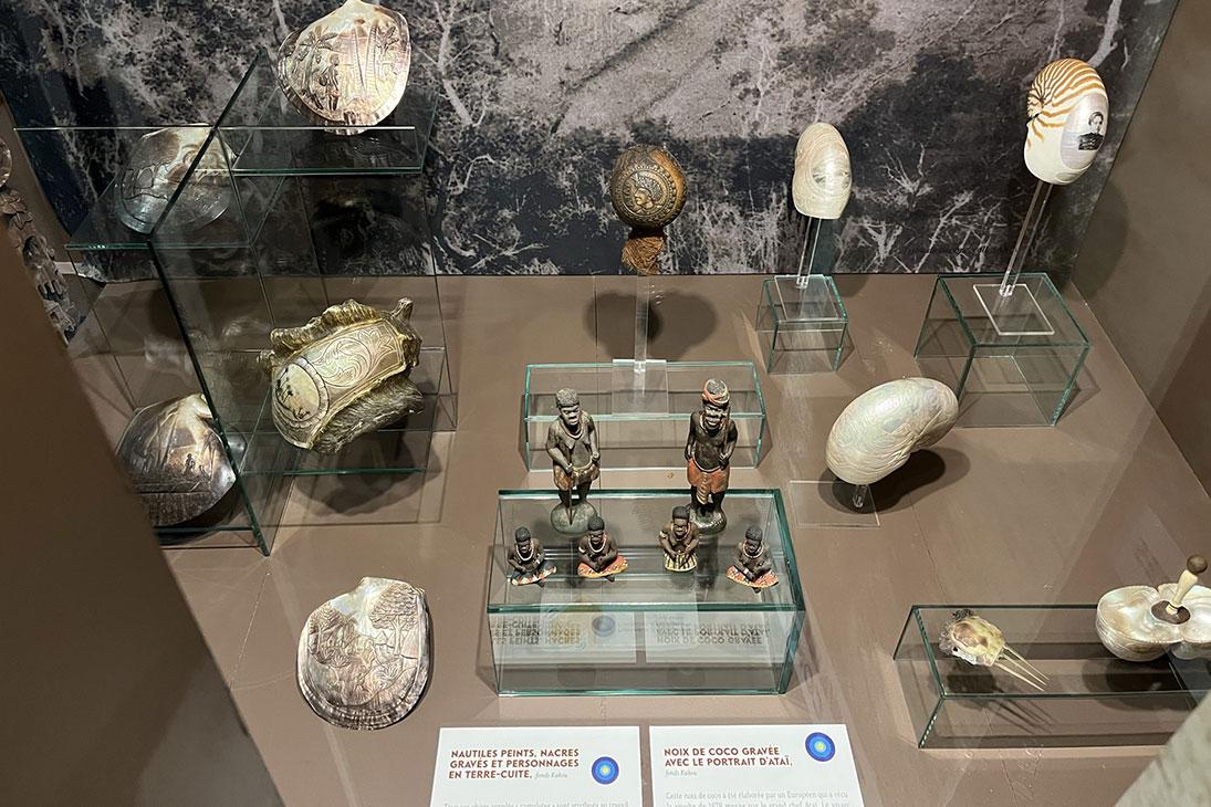 vitrine-coquillage.jpg