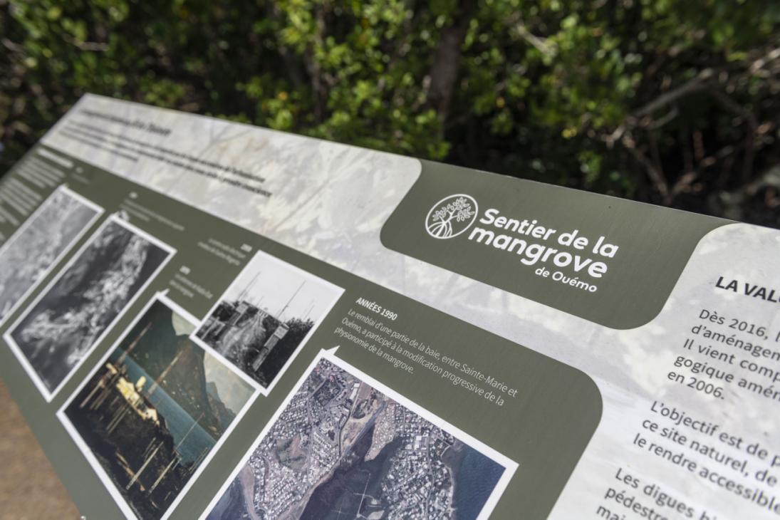 Différents panneaux d’information jalonnent le parcours afin de valoriser la biodiversité et l’histoire de la mangrove
