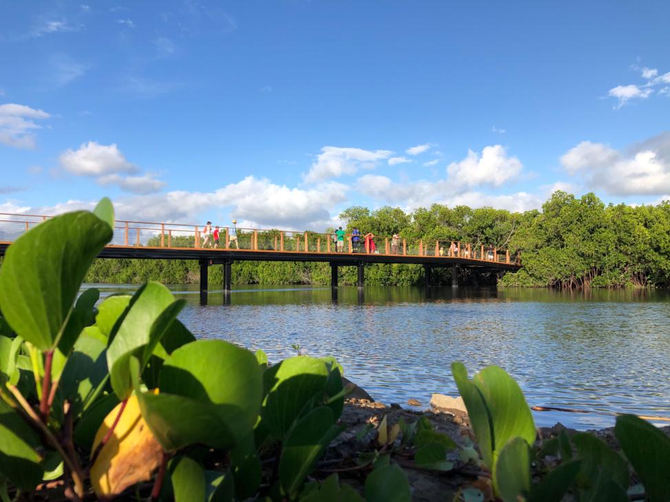 Une passerelle enjambe le canal et rejoint le sentier  de la mangrove de Ouémo 