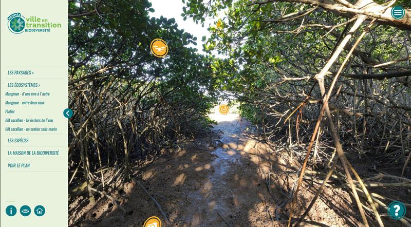 La biodiversité en réalité virtuelle