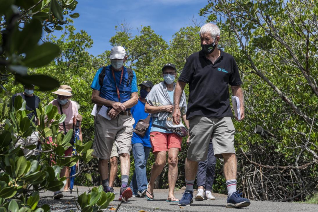 Maison_Biodiversité_Visite_Mangrove_Bernard_Suprin-18