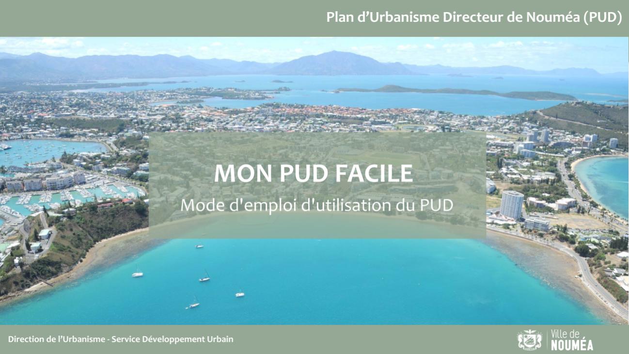 mon-pud-facile-modernise_Page_1.jpg
