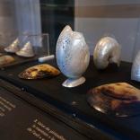 Expo Graveurs sur nacre_vitrines-7