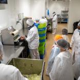 20250423_CMJ_Visite entreprises_Newrest-18