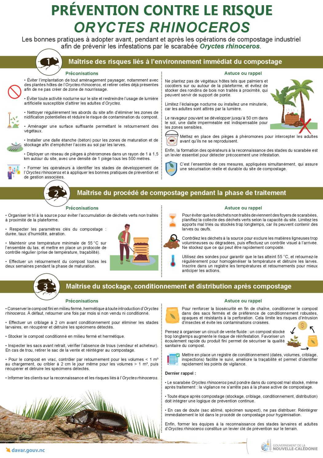 Scarabée rhinocéros - bonnes pratiques de compostage.pdf